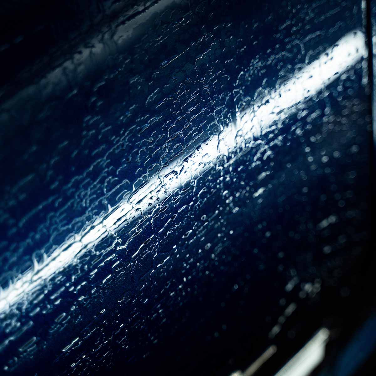 Labocosmetica REVÌTAX | Wash & Coat Shampoo - Alpha Details