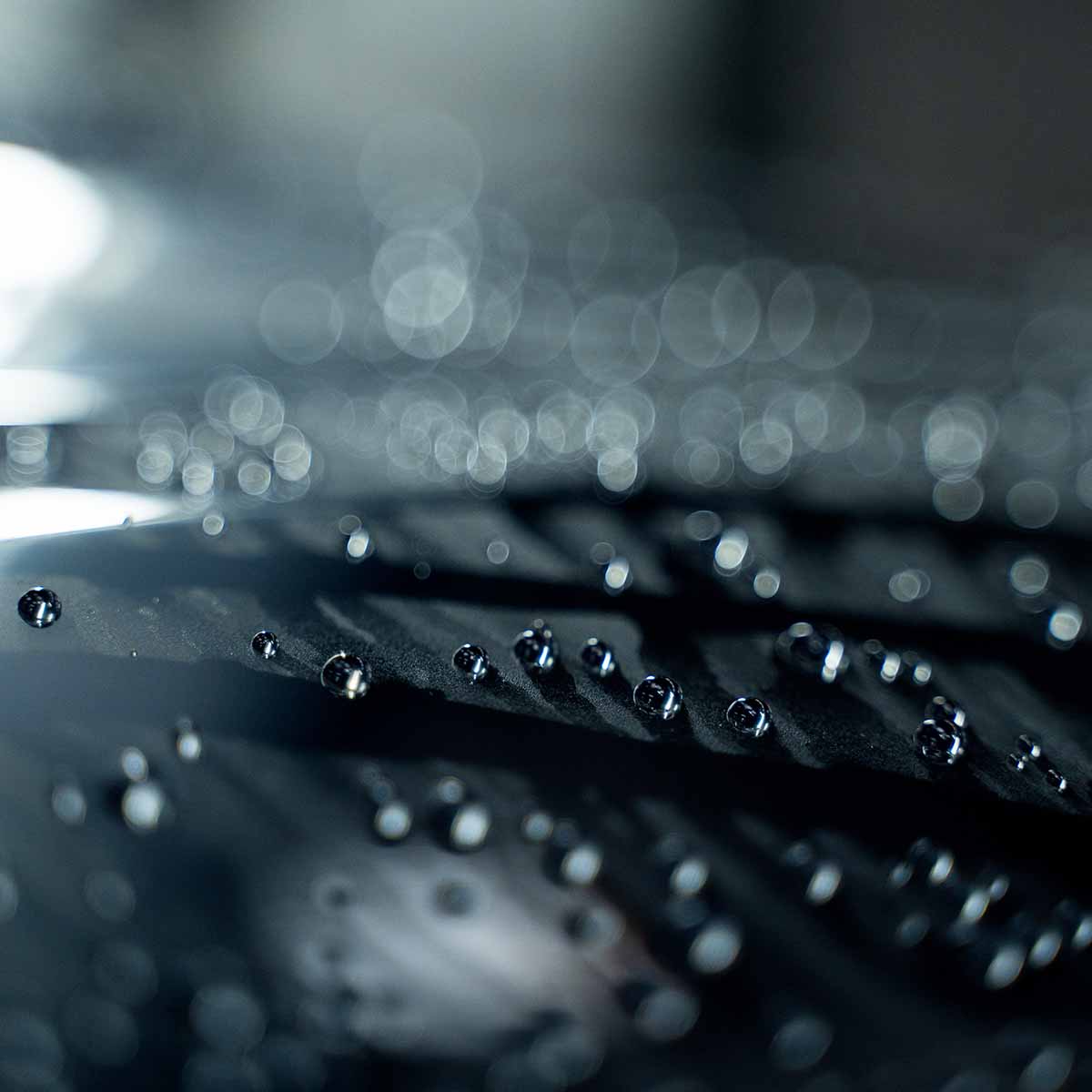 Labocosmetica REVÌTAX | Wash & Coat Shampoo - Alpha Details