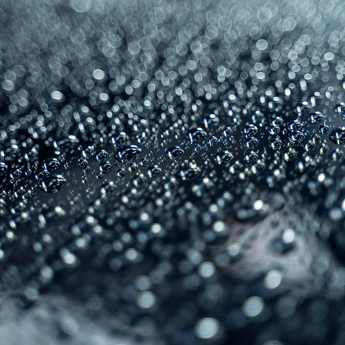 Labocosmetica REVÌTAX | Wash & Coat Shampoo - Alpha Details